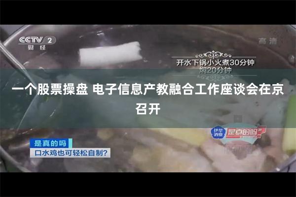 一个股票操盘 电子信息产教融合工作座谈会在京召开