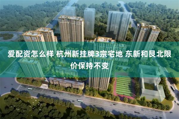 爱配资怎么样 杭州新挂牌3宗宅地 东新和艮北限价保持不变