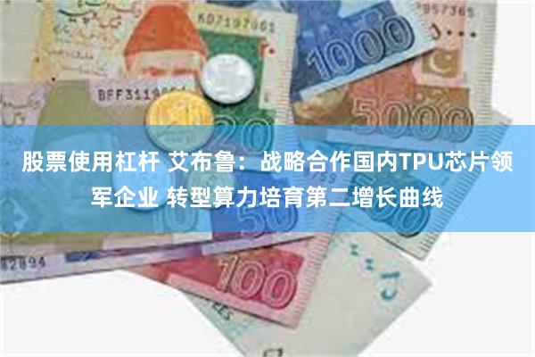 股票使用杠杆 艾布鲁：战略合作国内TPU芯片领军企业 转型算力培育第二增长曲线