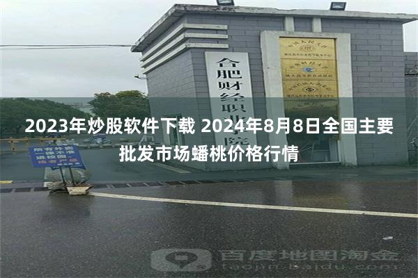 2023年炒股软件下载 2024年8月8日全国主要批发市场蟠桃价格行情