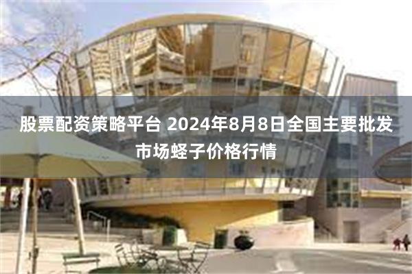 股票配资策略平台 2024年8月8日全国主要批发市场蛏子价格行情