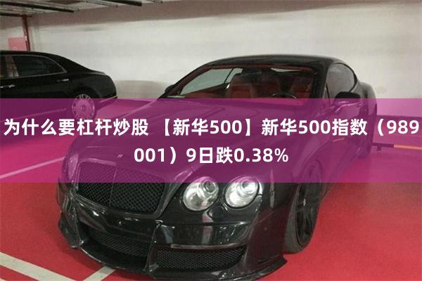 为什么要杠杆炒股 【新华500】新华500指数（989001）9日跌0.38%