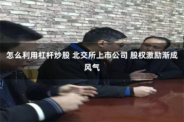 怎么利用杠杆炒股 北交所上市公司 股权激励渐成风气