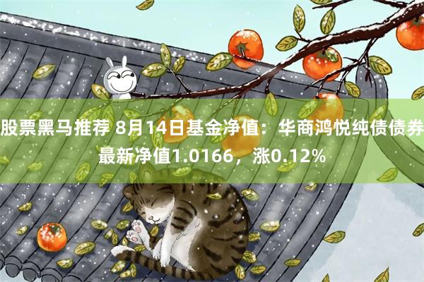 股票黑马推荐 8月14日基金净值：华商鸿悦纯债债券最新净值1.0166，涨0.12%