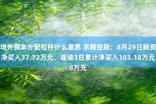 场外资本分配杠杆什么意思 京粮控股：8月29日融资净买入37.72万元，连续3日累计净买入103.18万元