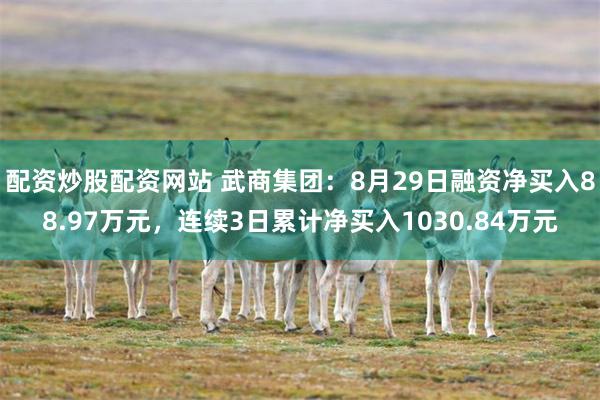 配资炒股配资网站 武商集团：8月29日融资净买入88.97万元，连续3日累计净买入1030.84万元