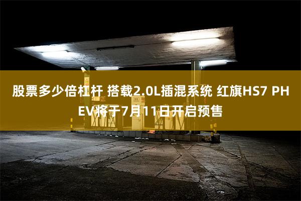 股票多少倍杠杆 搭载2.0L插混系统 红旗HS7 PHEV将于7月11日开启预售