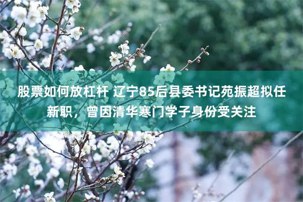 股票如何放杠杆 辽宁85后县委书记苑振超拟任新职，曾因清华寒门学子身份受关注