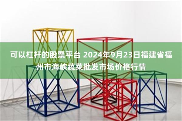 可以杠杆的股票平台 2024年9月23日福建省福州市海峡蔬菜批发市场价格行情