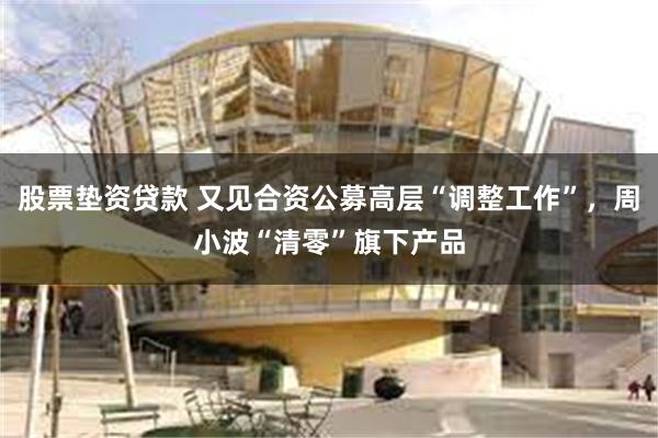 股票垫资贷款 又见合资公募高层“调整工作”，周小波“清零”旗下产品