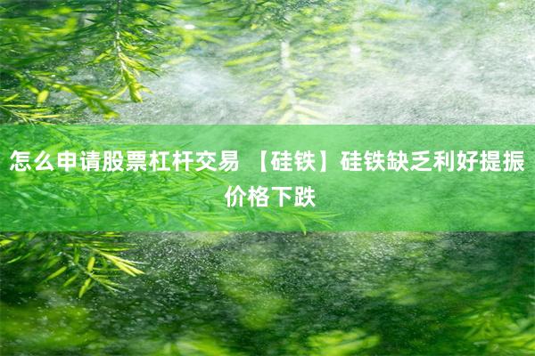 怎么申请股票杠杆交易 【硅铁】硅铁缺乏利好提振 价格下跌