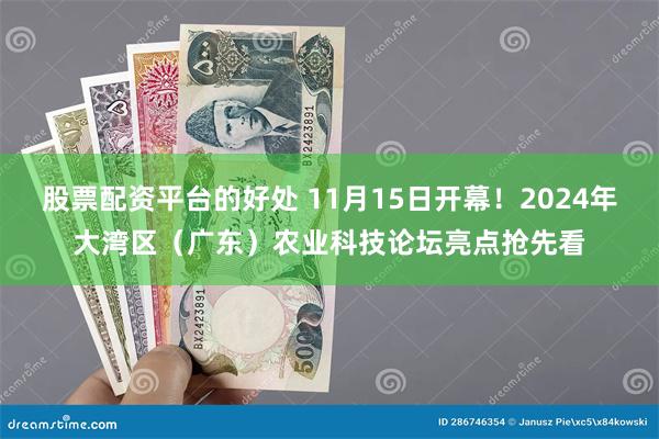 股票配资平台的好处 11月15日开幕！2024年大湾区（广东）农业科技论坛亮点抢先看