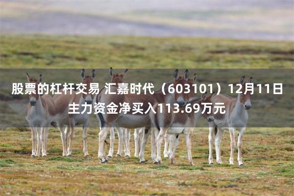 股票的杠杆交易 汇嘉时代（603101）12月11日主力资金净买入113.69万元