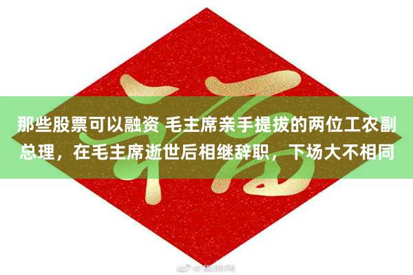 那些股票可以融资 毛主席亲手提拔的两位工农副总理，在毛主席逝世后相继辞职，下场大不相同