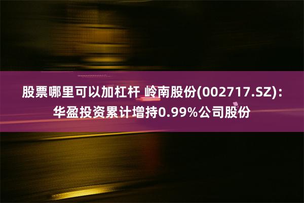 股票哪里可以加杠杆 岭南股份(002717.SZ)：华盈投资累计增持0.99%公司股份