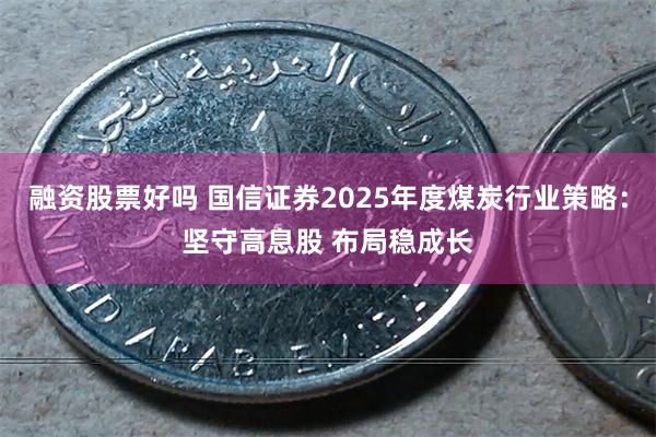 融资股票好吗 国信证券2025年度煤炭行业策略：坚守高息股 布局稳成长