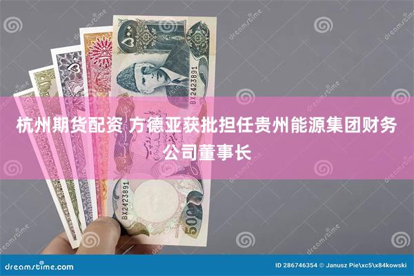 杭州期货配资 方德亚获批担任贵州能源集团财务公司董事长