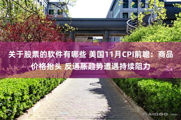 关于股票的软件有哪些 美国11月CPI前瞻：商品价格抬头 反通胀趋势遭遇持续阻力