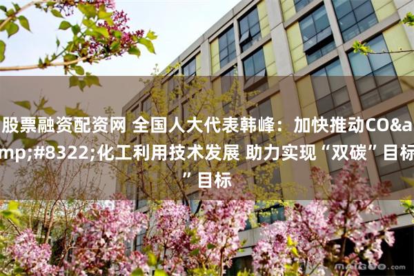 股票融资配资网 全国人大代表韩峰：加快推动CO&#8322;化工利用技术发展 助力实现“双碳”目标